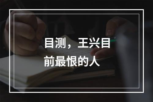 目测，王兴目前最恨的人